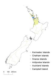 Veronica jovellanoides distribution map based on databased records at AK, CHR & WELT.
 Image: K.Boardman © Landcare Research 2022 CC-BY 4.0